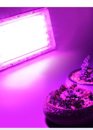 Фито прожектор 50 ватт для подсветки растений (фитолампа fito ...